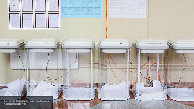 Выборы в региональные парламенты РФ побили рекорд по числу новых партий