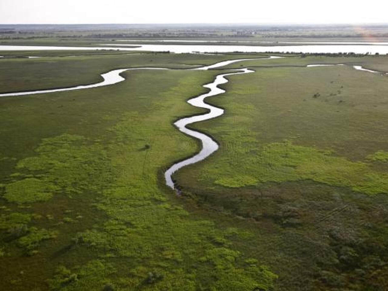 Глобальное потепление и таяние мерзлых болот сделают Арктику зеленой -  Рамблер/новости