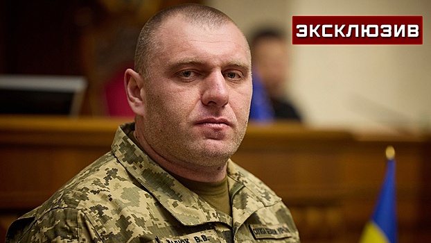 Олейник назвала отставку Малюка* борьбой США и Британии за влияние