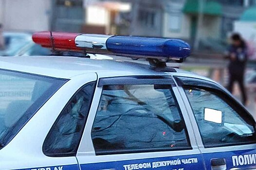 Полиция перехватила автомобиль с участниками перестрелки у нижегородской школы