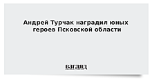 Андрей Турчак наградил юных героев Псковской области