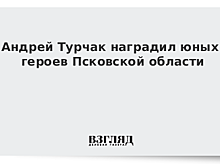 Андрей Турчак наградил юных героев Псковской области