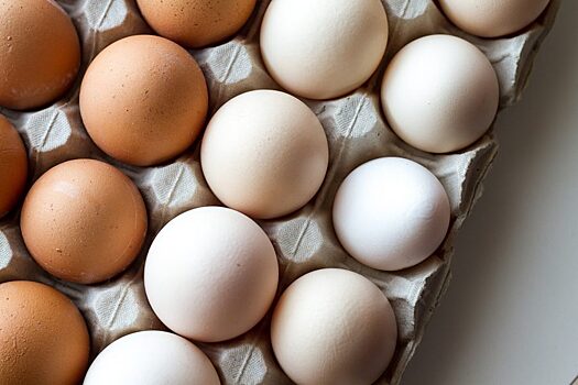 Яйца с антибиотиками обнаружили в Нижегородской области