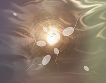 Ученые нашли способ лечения рака с помощью сперматозоидов
