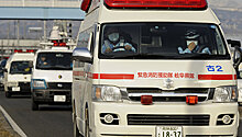 Спасатели в Японии нашли всех пассажиров разбившегося военного самолета