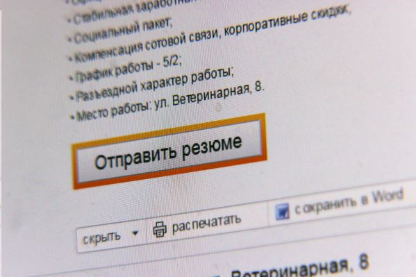 В Свердловской области на 11% увеличилось количество резюме