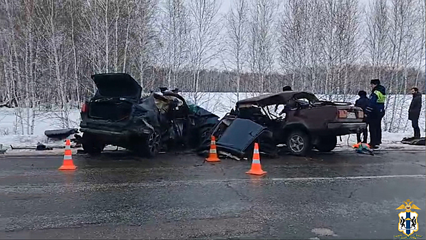 Новосибирские автоинспекторы устанавливают обстоятельства ДТП, в котором погибли 5 человек