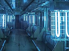 В ВОЗ оценили эффективность ультрафиолетового излучения в борьбе с COVID