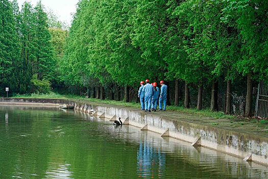 Китайская компания демонстрирует в России эволюцию бизнеса