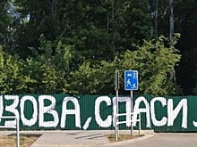 Горожане обратились к Бузовой ради спасения леса у Новой Самары