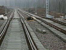 Росжелдор установит правила обращения со служебными собаками