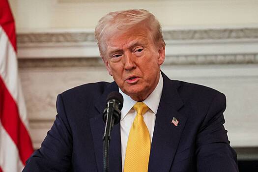 Трамп дал оценку разговорам с Путиным и Зеленским