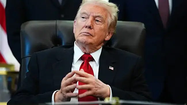 Хамство Трампа помогло властям Германии