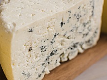 Российские ученые представили разработку для ускорения роста благородной плесени