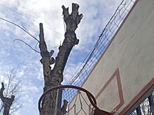 Сотрудники «Жилищника» привели в порядок баскетбольную площадку на Саратовской