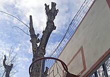Сотрудники «Жилищника» привели в порядок баскетбольную площадку на Саратовской