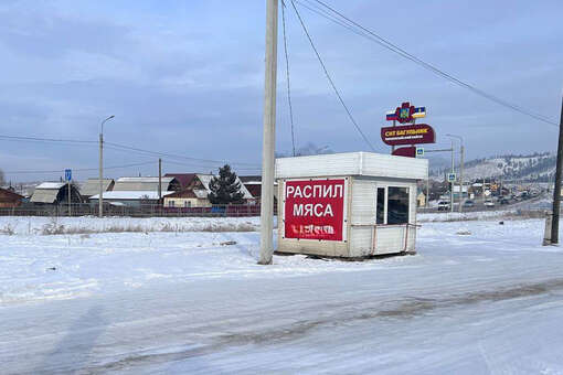 В Бурятии стая бездомных собак искусала девушку