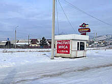 В Бурятии стая бездомных собак искусала девушку