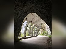 Ущерб от создания туристического поезда на старой трассе Адлер — Красная Поляна может достигнуть 800 млн рублей