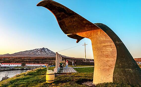 Пример Трампа – не всегда дурной: Курилы могут стать Русскими островами