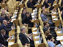 В Госдуме оценили ущерб от "минирований"