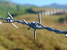 Кабмин одобрил проекты соглашений о выдаче осуждённых между Россией и Кувейтом