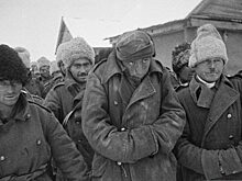 Что стало с легионерами Гитлера под Сталинградом