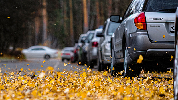 Как подготовить авто к осени: 10 важных советов для водителей