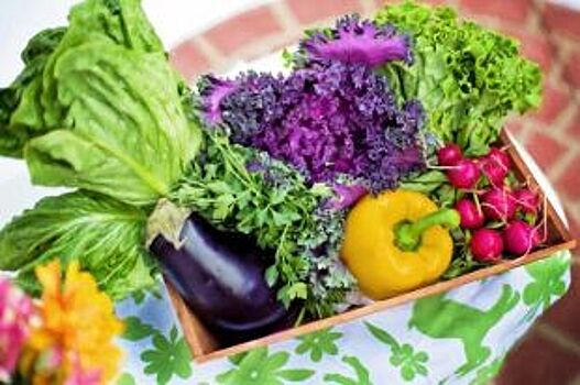 Купив свежий номер «АиФ», можно получить скидку при покупке свежих овощей