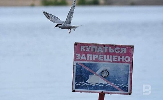 Видеоопрос: "Вы уже открыли купальный сезон, несмотря на официальный запрет?"