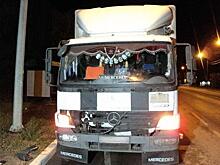 На трассе в Рязанской области грузовик Mercedes насмерть сбил мужчину