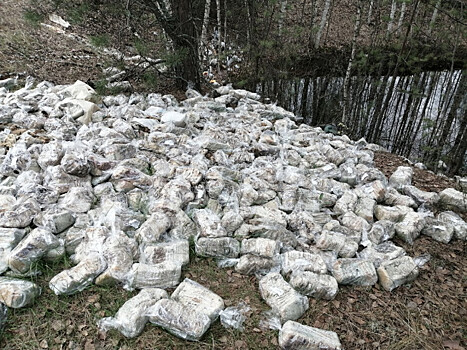 Свалку испорченного хлеба нашли в нижегородском лесу