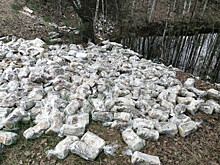 Свалку испорченного хлеба нашли в нижегородском лесу