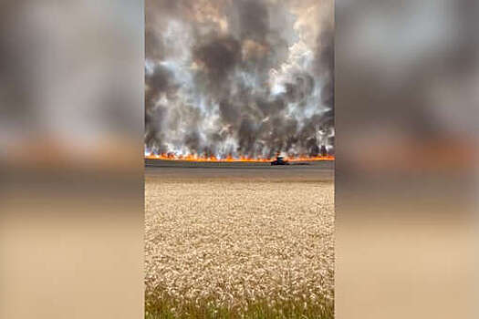 Засуха в Румынии привела к пожарам на пшеничных полях