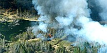 Повелитель стихии воды и огня: символом природных пожаров в России стал аист