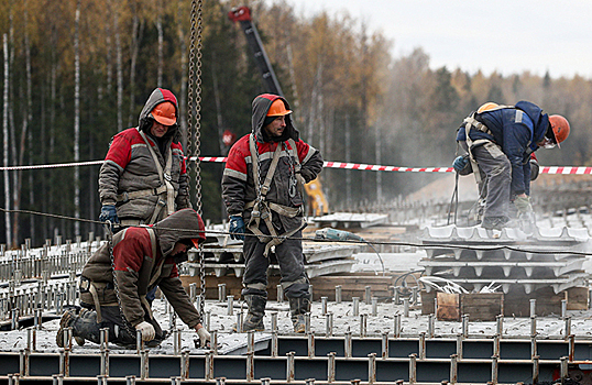 Экологическая экспертиза vs «регуляторная гильотина»