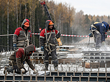 Экологическая экспертиза vs «регуляторная гильотина»
