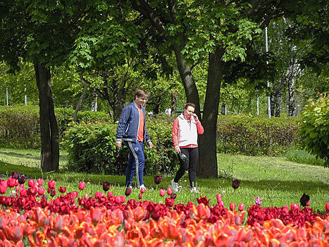 Медики рассказали о плюсах поэтапного снятия эпидемиологических ограничений в Москве