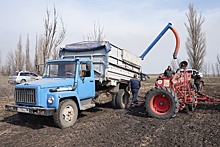 Рынок агрострахования за год вырос на треть