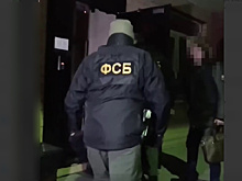 В Зее лесничий получил взятку на полмиллиона рублей