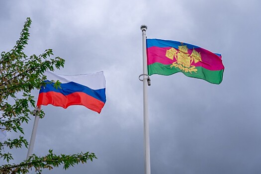 Драки, оскорбления, мошенничество: как высокопоставленным чиновникам живется на Кубани