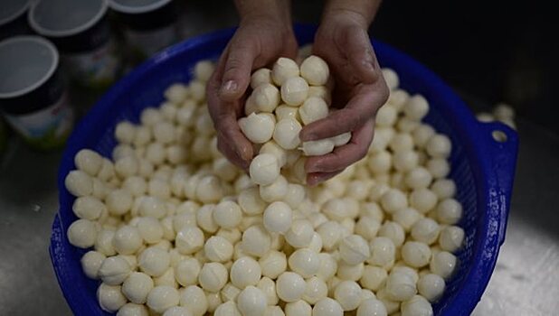 Сыроварню в США накажут за изготовление пармезана из целлюлозы