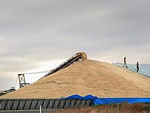 В 2022 году доля некачественной зерновой продукции в РФ достигла 9,2%