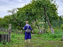 Какие фильмы из программы фестиваля Arctic open увидят в Санкт-Петербурге и Сыктывкаре