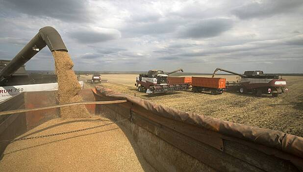 Китай резко снизил закупки одной российской агрокультуры