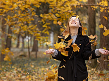 Законодатели уточнили порядок ознакомления с результатами таможенной проверки