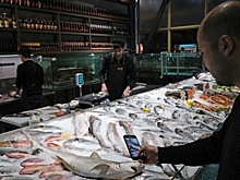Себестоимость рыбы в России повысится на 26%
