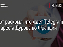 Эксперт раскрыл, что ждет Telegram после ареста Дурова во Франции