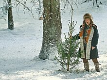 Андрей Рожков привёз в Киров «Ёлки 12»