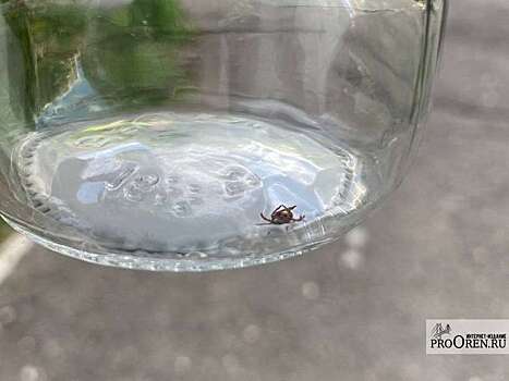 Около 2 тыс. вандальных надписей выявили камеры «Безопасного региона» на территории Подмосковья в июле